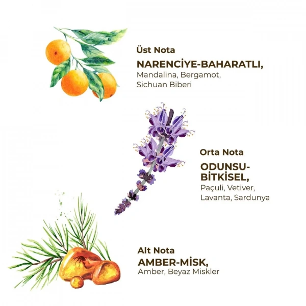 Eyüp Sabri Tuncer Erkek Roll On Deodorant 75 Ml Sport