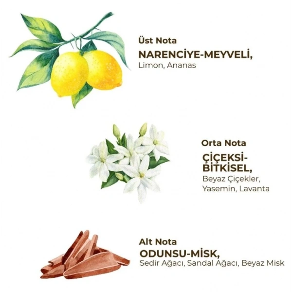 Eyüp Sabri Tuncer Kadın Roll On Deodorant 75 Ml Fresh