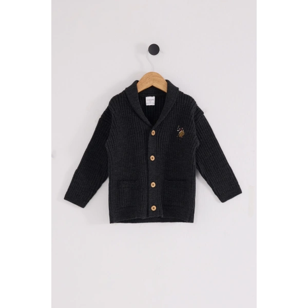 U.s. Polo Assn Bebek Hırka Usb2608 Antrasit Melanj