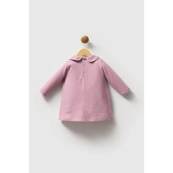 U.s. Polo Assn Elbise Usb2740 Gül Kurusu