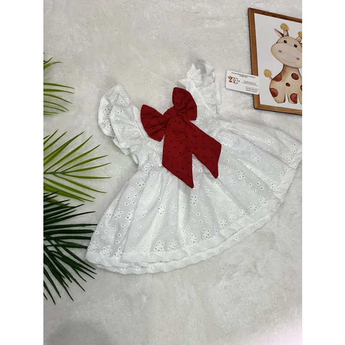 ISABELLA FİYONKLU ELBİSE