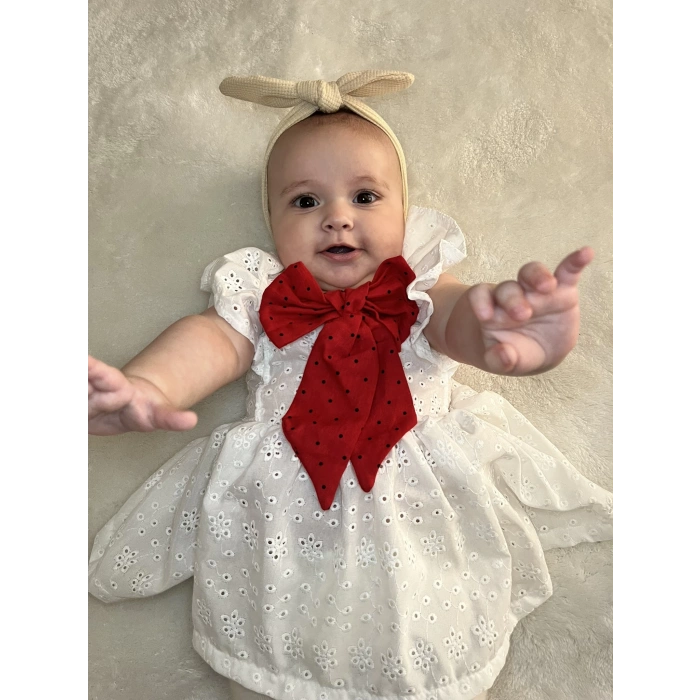 ISABELLA FİYONKLU ELBİSE