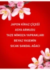 Bath & Body Works Japanese Cherry Blossom Nemlendirici Duş Jeli