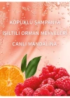Champagne Toast Hediye Seti