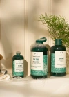 The Body Shop Çay Ağacı Tea Tree Arındırıcı Tonik 250 ml