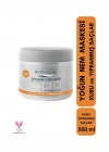 Byphasse Hair Pro Yoğun Nem Maskesi 500 ML