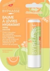 Byphasse Kavun Aromalı Nemlendirici Dudak Bakım Kremi 4.8 G