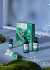 The Body Shop Çay Ağacı Tea Tree Dörtlü Seti