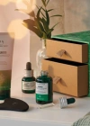The Body Shop Edelweiss Dörtlü Hediye Seti