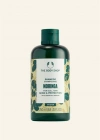 The Body Shop Moringa Işıltı Veren Koruyucu Şampuan 250 Ml Mat