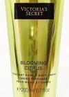 Victorias Secret Blooming Citrus El ve Vücut Bakım Kremi 200 ML