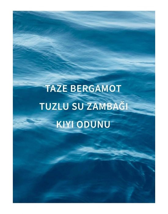 Endless Sea Vücut Kremi 226 G