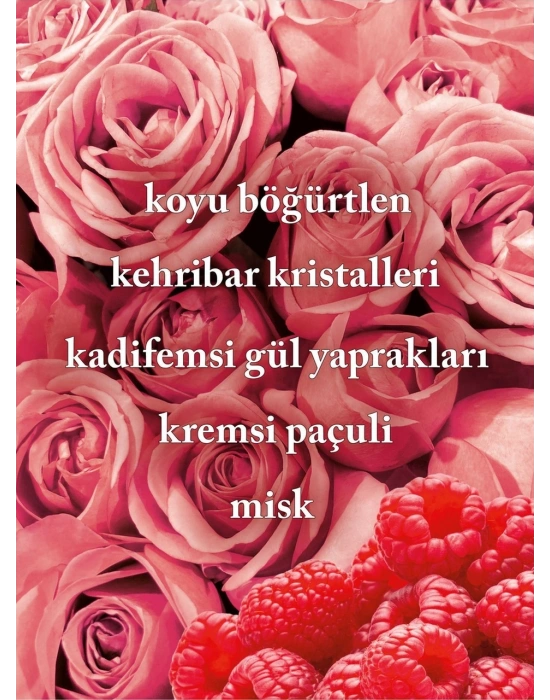 Bath & Body Works Ballet Nights Vücut Spreyi 236 Ml