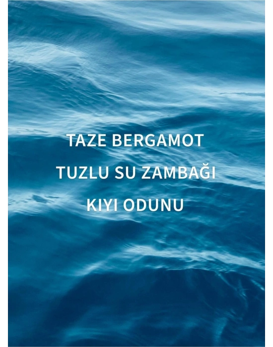 Bath & Body Works Endless Sea Vücut Spreyi 236ml