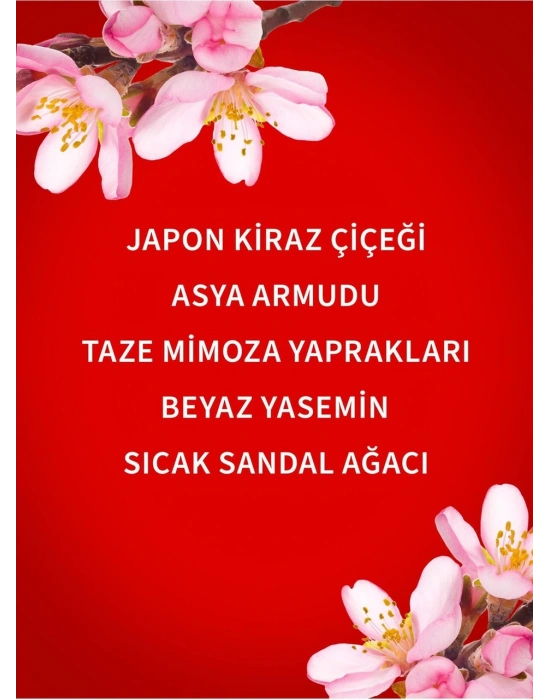 Bath & Body Works Japanese Cherry Blossom Işıltılı Vücut Spreyi 146 Ml