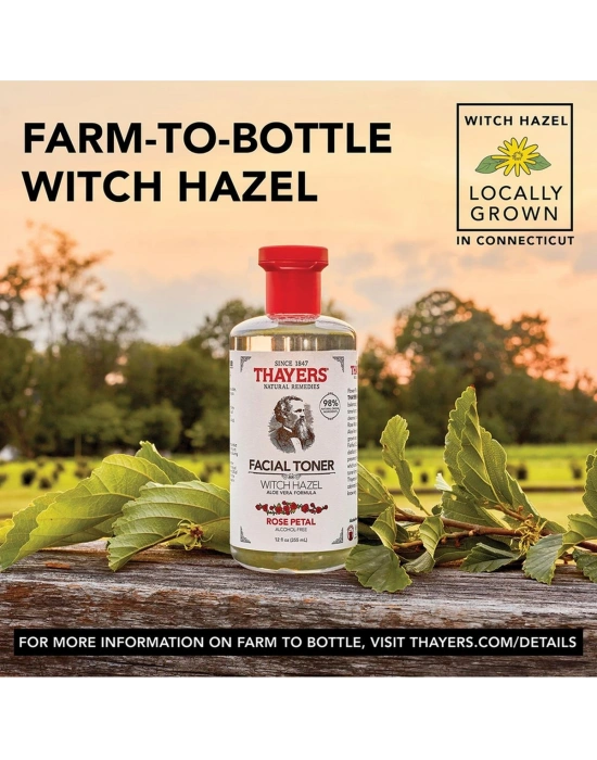 Thayers Cadı Fındığı ve Gül Yaprağı İçerikli Tonik 355 ML