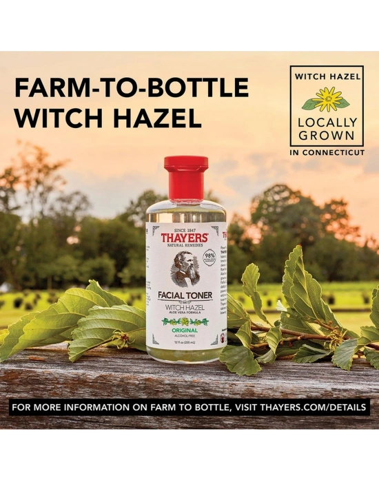 Thayers Original Cadı Fındığı İçerikli Tonik 355 ML