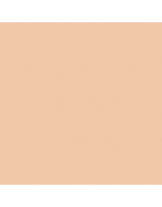 The Body Shop Fresh Nude Pudra 20 9g Diğer