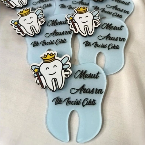 Diş Pleksi Boyamalı Magnet