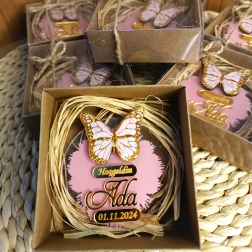 Baskıcı Amca Kelebek Boyalı Magnet Kutulu