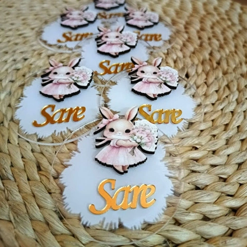 Baskıcı Amca Çiçekli Tavşan Boyalı Magnet