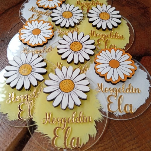 Baskıcı Amca Papatyalı Boyamalı Magnet