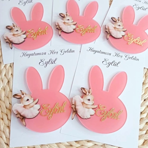 Baskıcı Amca Tavşan Boyalı Kartlı Magnet