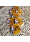 Baskıcı Amca Ayı Figürlü Boyalı Magnet