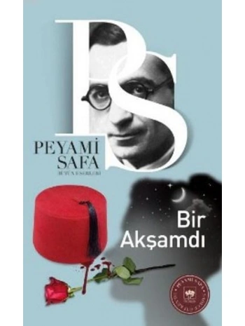 Bir Akşamdı