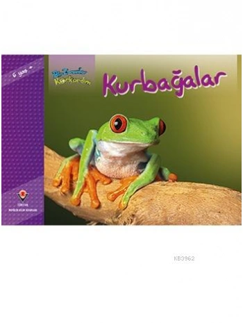 Bir Zamanlar Korkardım - Kurbağalar