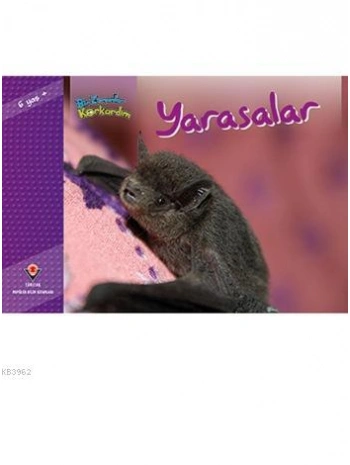 Bir Zamanlar Korkardım - Yarasalar