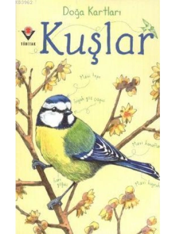 Doğa Kartları - Kuşlar
