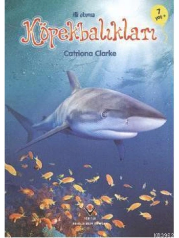 İlk Okuma - Köpekbalıkları