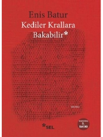 Kediler Krallara Bakabilir