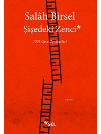 Şişedeki Zenci; 1001 Gece Denemeleri