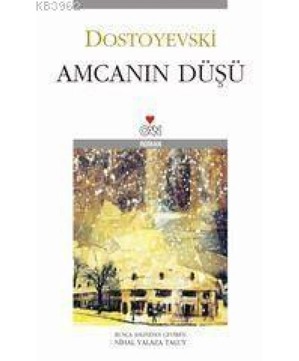 Amcanın Düşü