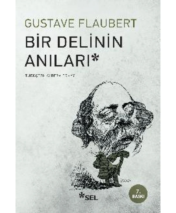 Bir Delinin Anıları