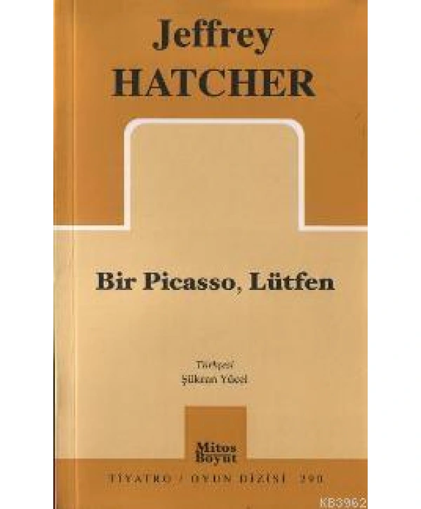 Bir Pıcasso, Lütfen