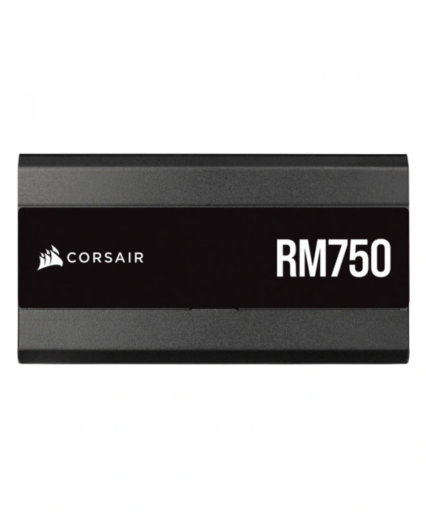 CORSAIR CP-9020234-EU RM750 (2021) 750W POWER SUPPLY