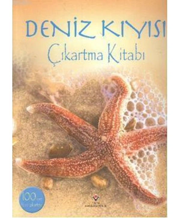 Deniz Kıyısı Çıkartma Kitabı
