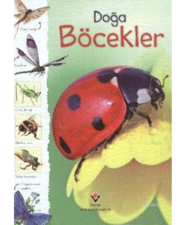 Doğa - Böcekler
