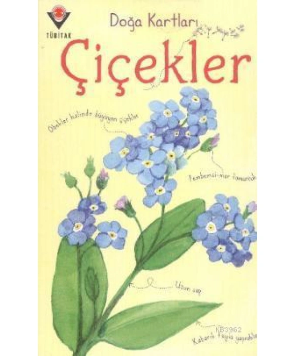 Doğa Kartları - Çiçekler