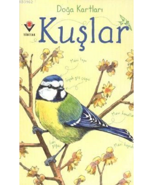 Doğa Kartları - Kuşlar
