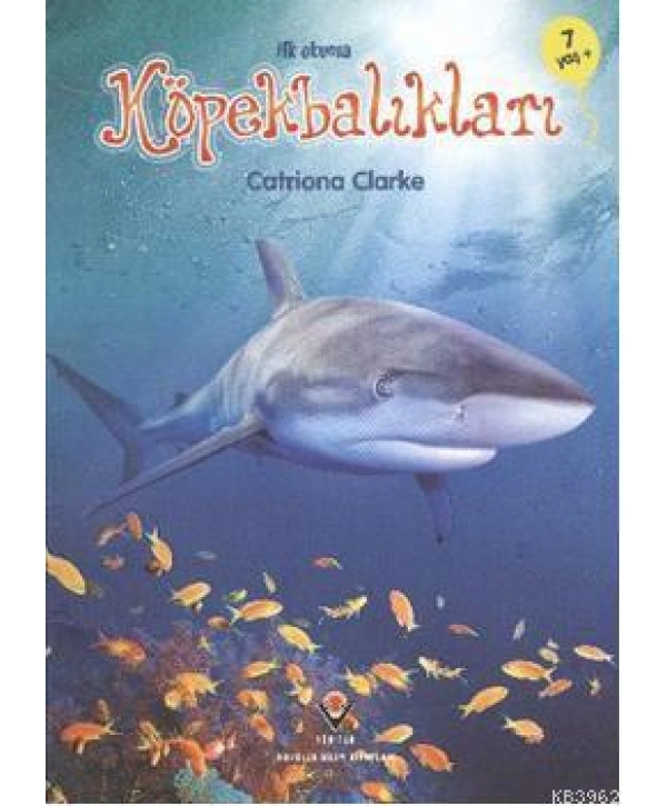 İlk Okuma - Köpekbalıkları