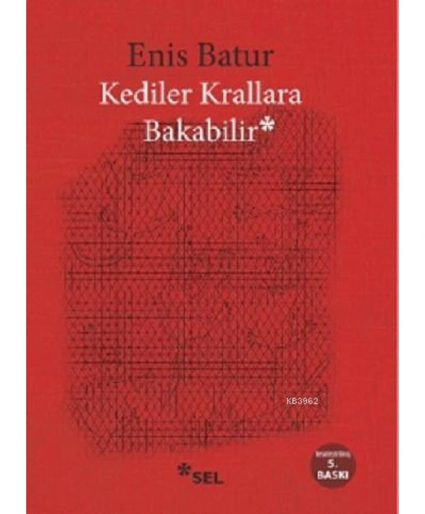 Kediler Krallara Bakabilir