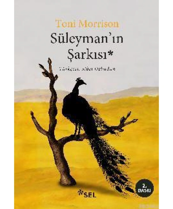 Süleymanın Şarkısı
