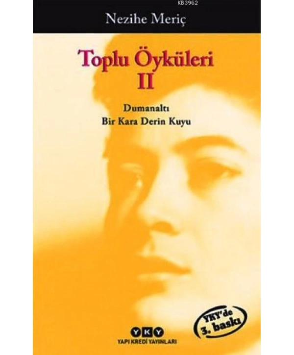 Toplu Öyküleri 2; Bütün Yapıtlarına Doğru