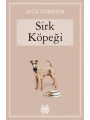 Sirk Köpeği