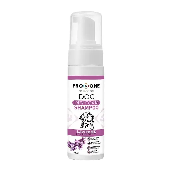 Pro One Felıne Canın Köpük Şampuan Lavanta 200 Ml