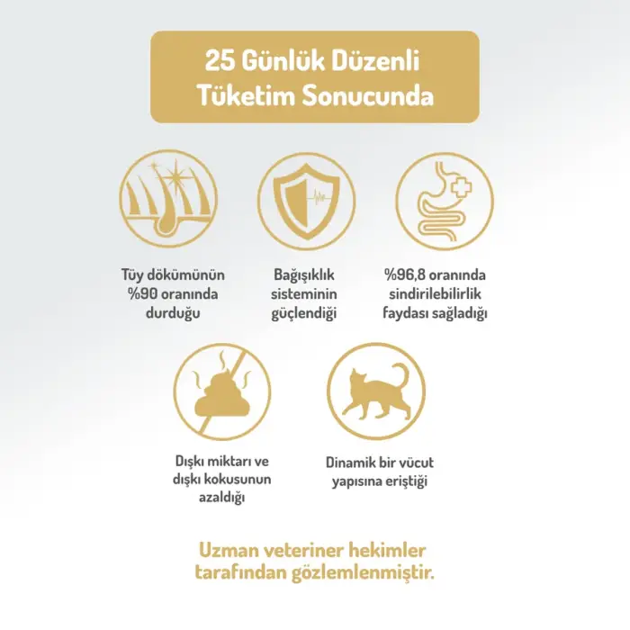 Felicia Düşük Tahıllı Hipoalerjenik Tavuklu Anne ve Yavru Kedi Maması 2 Kg